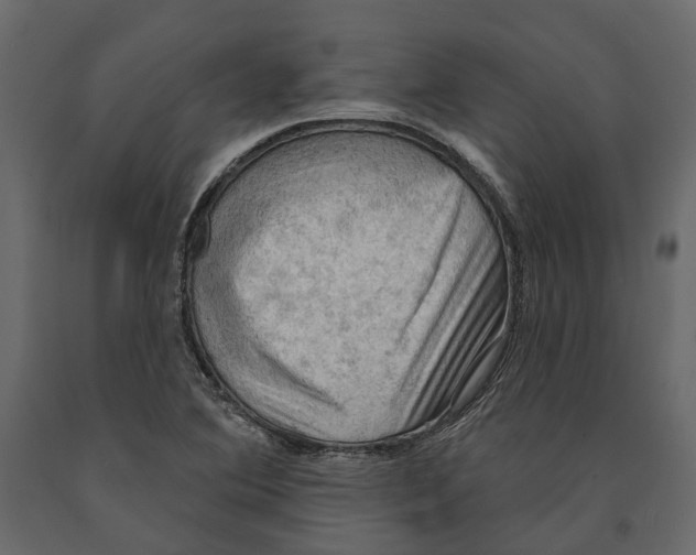 X0000090911364200708270956