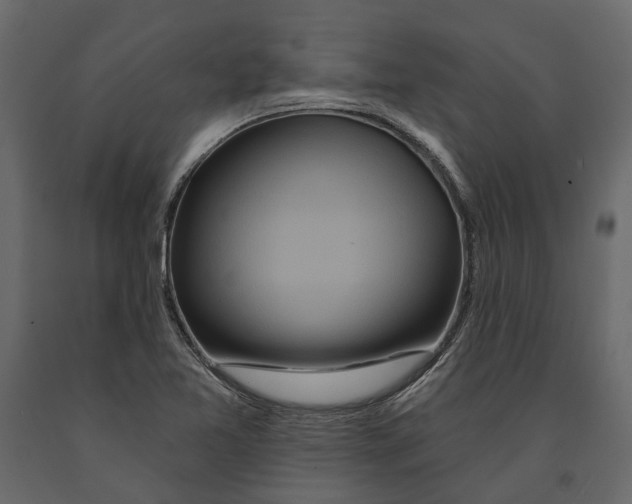 X0000090911365200708270956