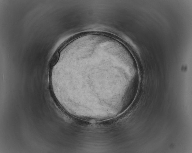 X0000090911368200708270956