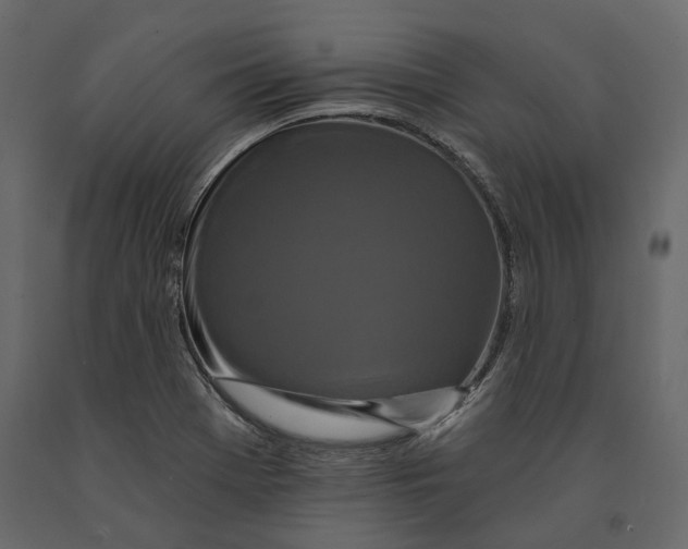 X0000090911369200708270956