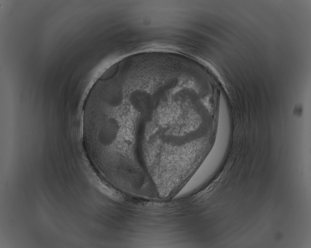 X0000090911371200708270956