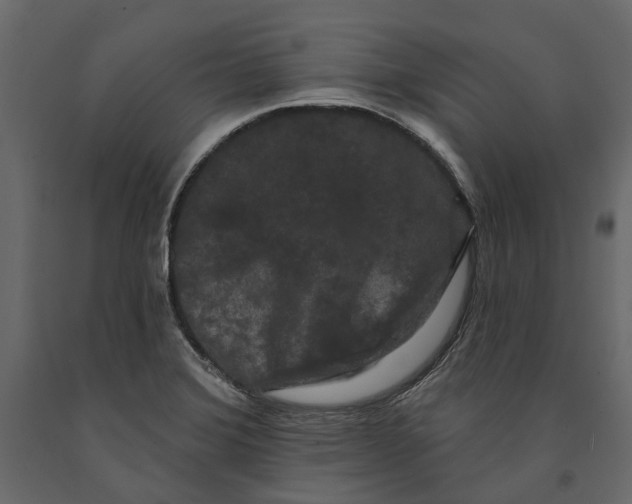 X0000090911372200708270956