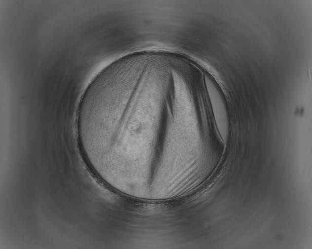 X0000090911375200708270956