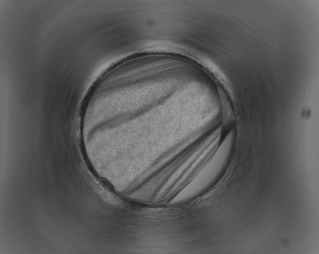 X0000090911376200708270956