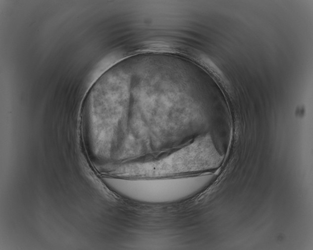 X0000090911378200708270956