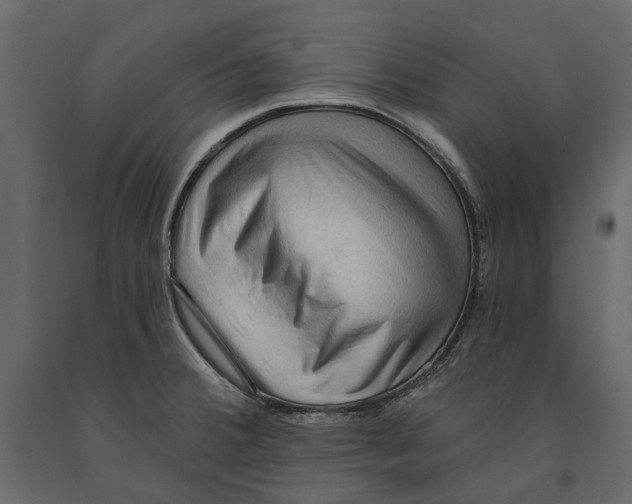 X0000090911380200708270956