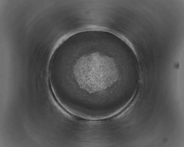 X0000090911381200708270956