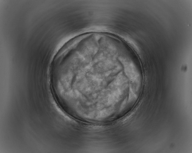 X0000090911382200708270956