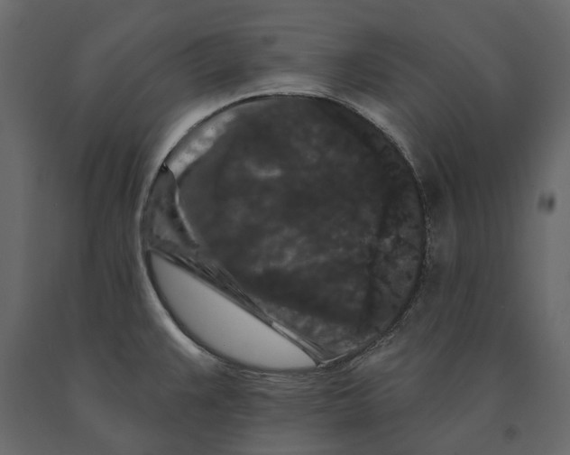 X0000090911383200708270956