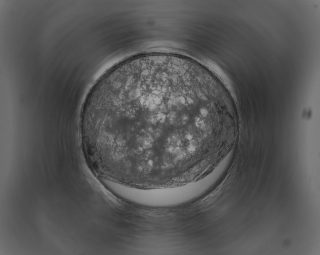 X0000090911384200708270956