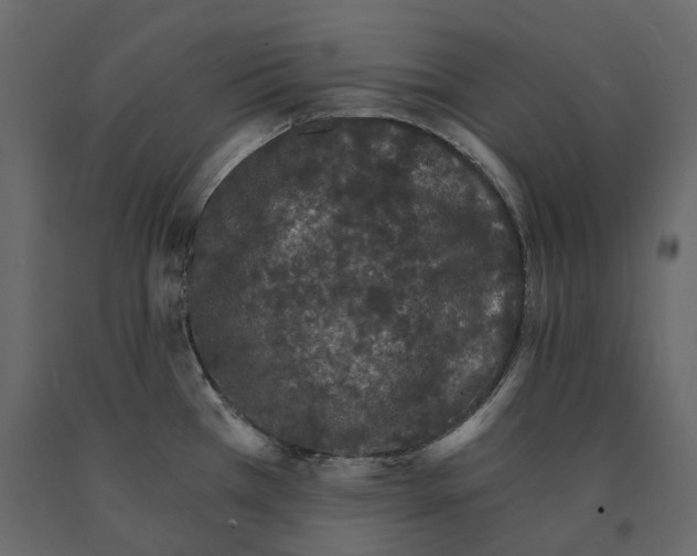 X0000090911385200708270956