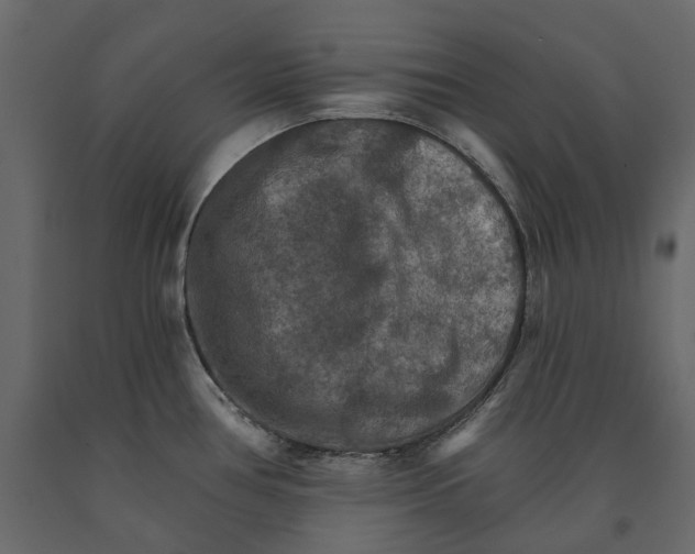 X0000090911386200708270956