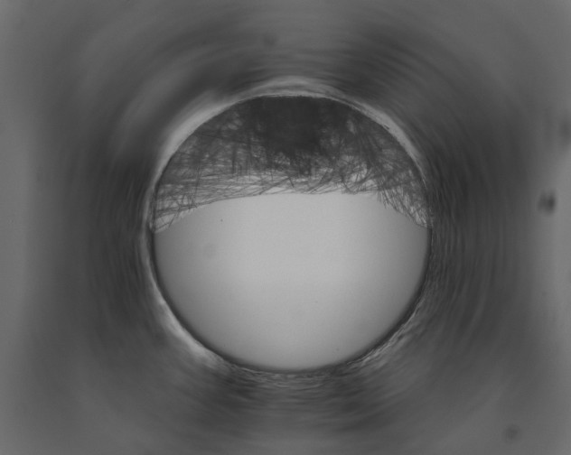 X0000090911387200708270956