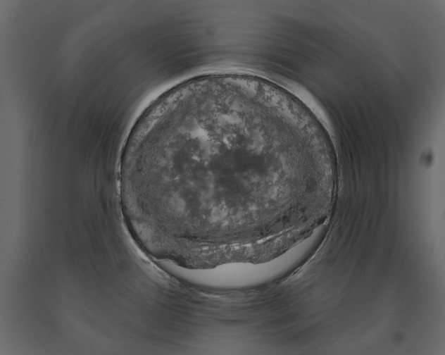 X0000090911388200708270956