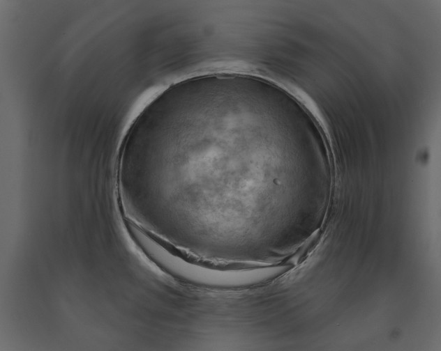 X0000090911389200708270956