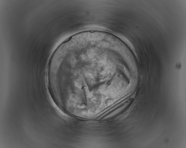 X0000090911391200708270956