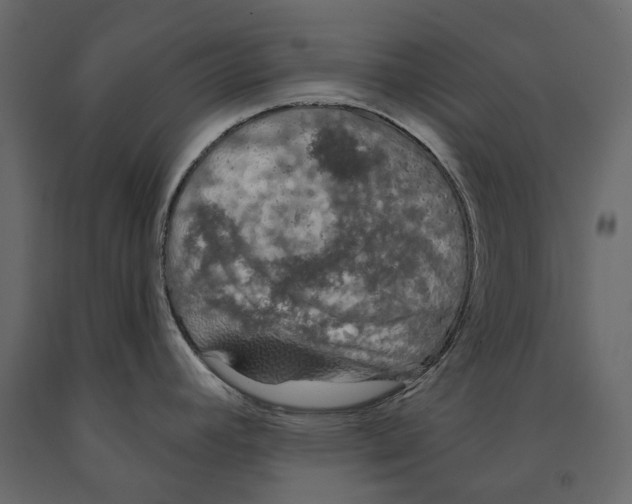 X0000090911392200708270956