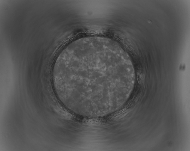 X0000090911393200708270955