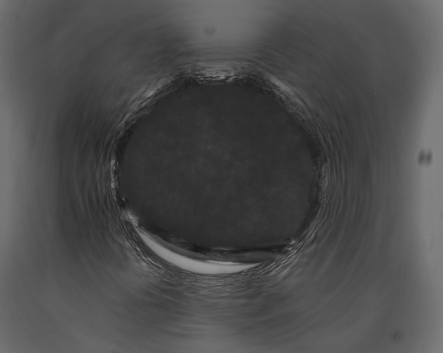 X0000090911394200708270955