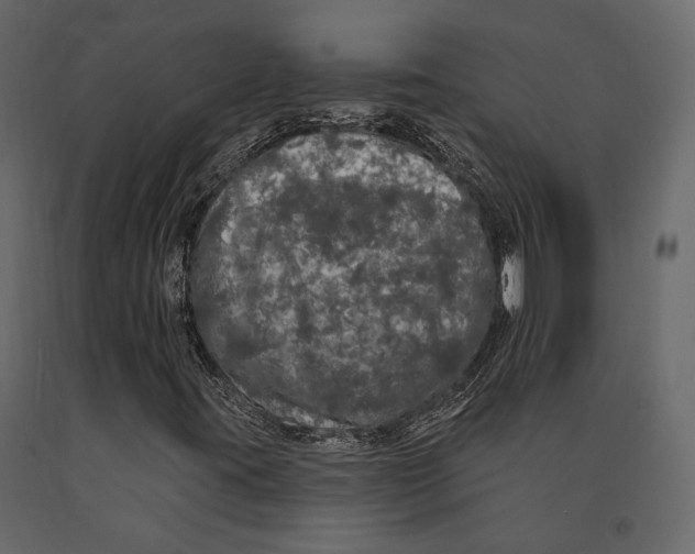 X0000090911395200708270955