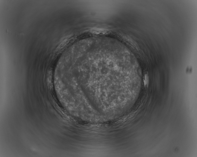 X0000090911396200708270955