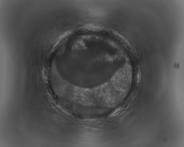 X0000090911397200708270955