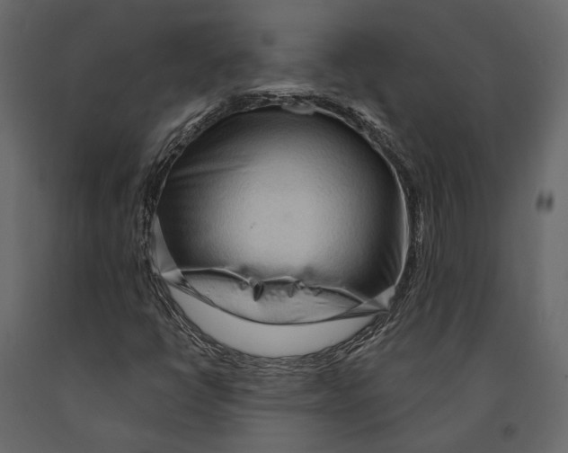 X0000090911398200708270955