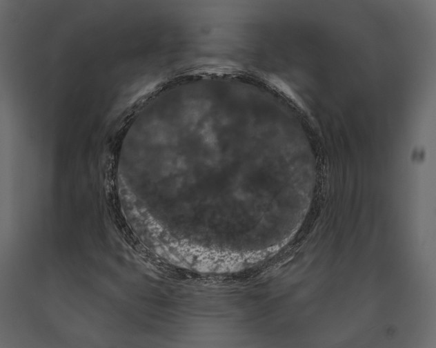 X0000090911399200708270955