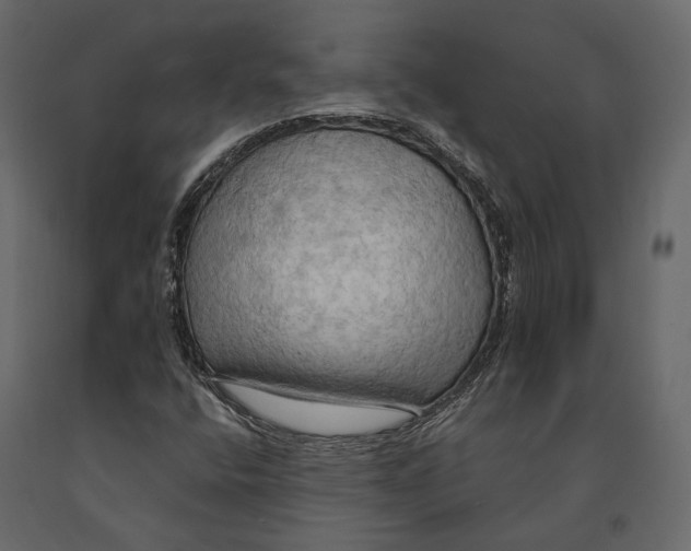 X0000090911400200708270955