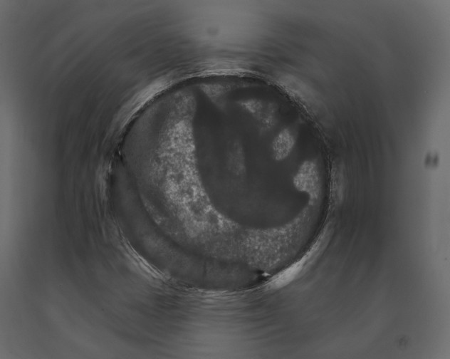 X0000090911401200708270955