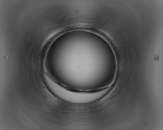 X0000090911402200708270955