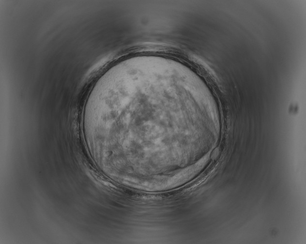 X0000090911403200708270955