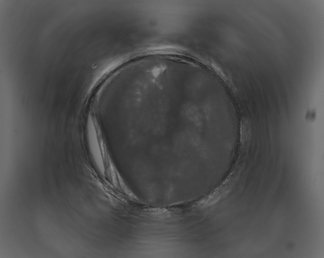 X0000090911405200708270955