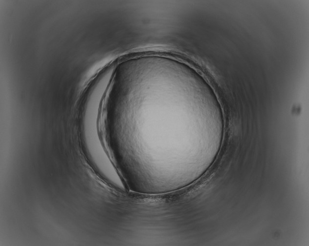 X0000090911406200708270955