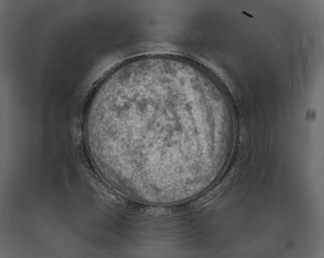 X0000090911407200708270955