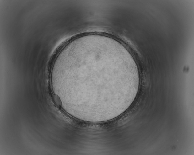 X0000090911408200708270955