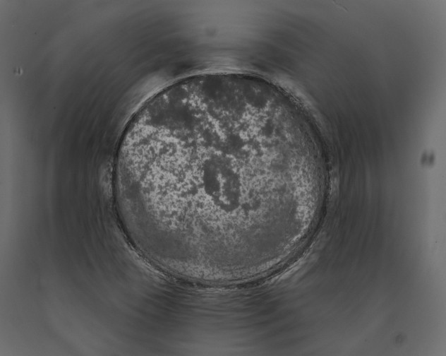 X0000090911409200708270955