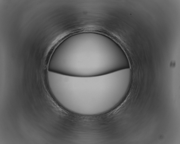 X0000090911410200708270955