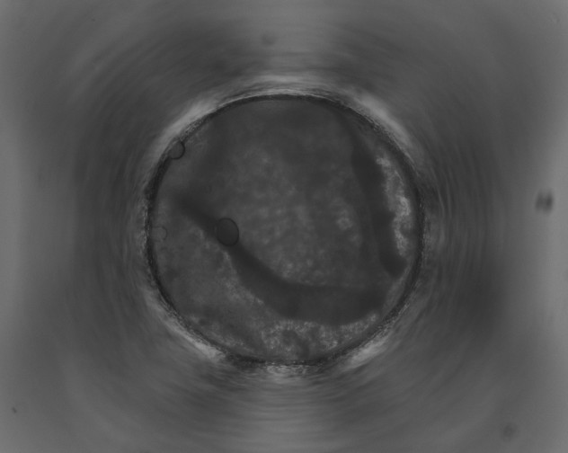 X0000090911411200708270956