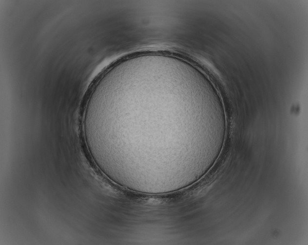 X0000090911412200708270956