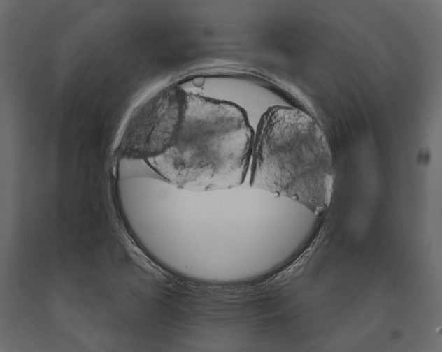 X0000090911413200708270956