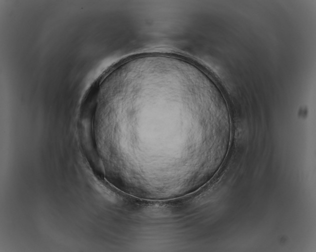 X0000090911414200708270956