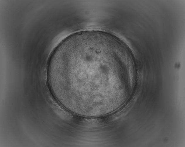 X0000090911415200708270956