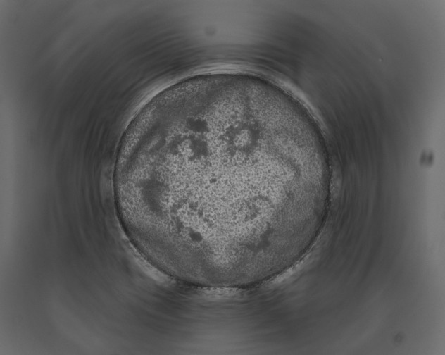 X0000090911417200708270956