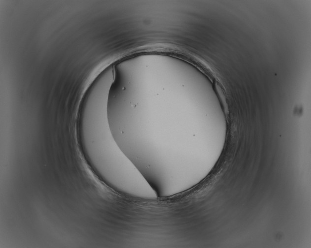 X0000090911418200708270956