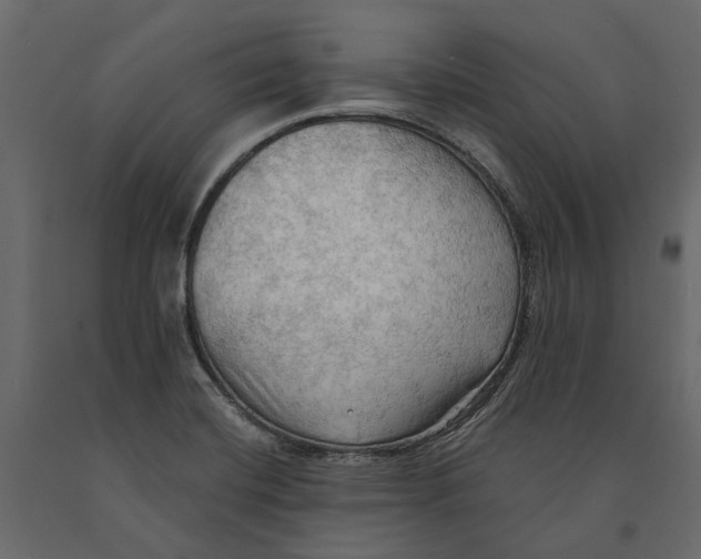 X0000090911420200708270956