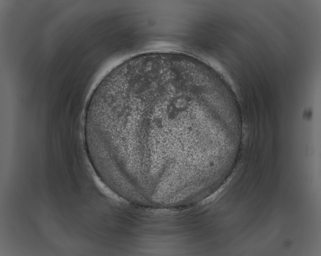 X0000090911421200708270956