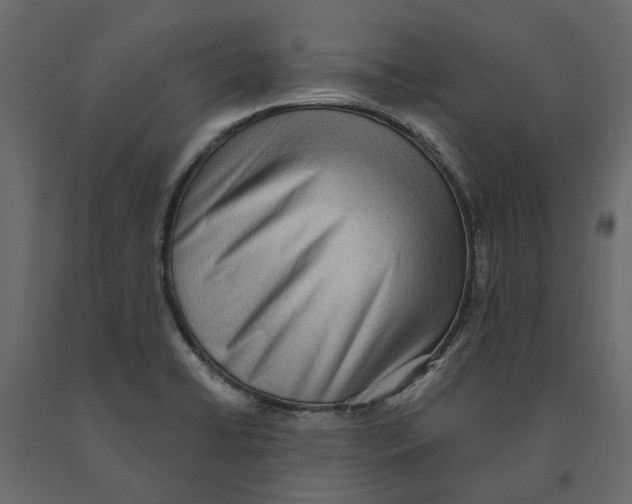 X0000090911422200708270956