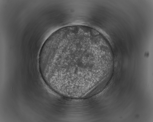 X0000090911423200708270956