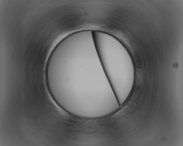 X0000090911424200708270956